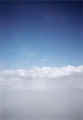 june_fly2.jpg (22168 bytes)